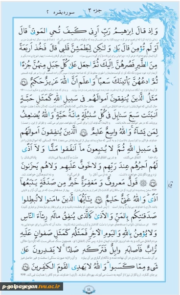 روزمان را با تلاوت قرآن کریم آغاغز کنیم 2