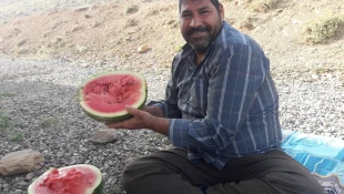 همایش پیاده روی کارکنان آموزشکده فنی و حرفه ای گلپایگان در سالروز فتح خرمشهر 6