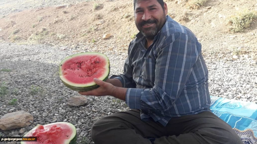 همایش پیاده روی کارکنان آموزشکده فنی و حرفه ای گلپایگان در سالروز فتح خرمشهر 6