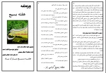 برشور بسیج 2