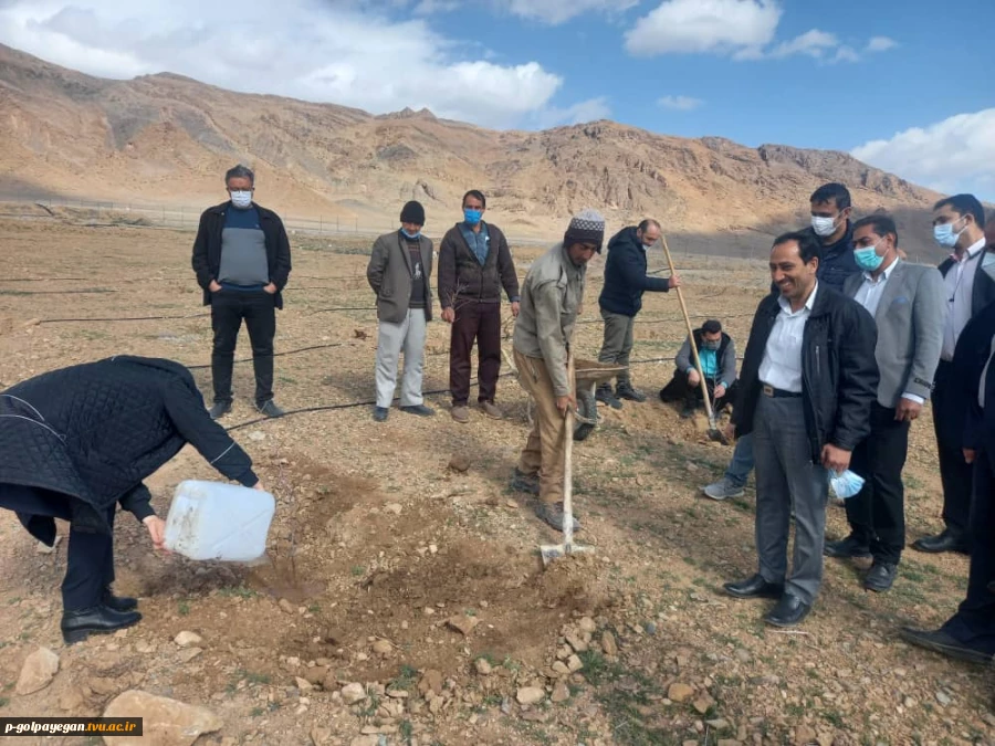 طرح پویش ملی همکاشت در آموزشکده فنی و حرفه ای پسران گلپایگان 9