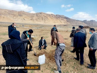 طرح پویش ملی همکاشت در آموزشکده فنی و حرفه ای پسران گلپایگان 7