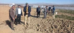 مراسم روز درختکاری در آموزشکده فنی و حرفه ای پسران گلپایگان برگزار شد. 7