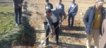 مراسم روز درختکاری در آموزشکده فنی و حرفه ای پسران گلپایگان برگزار شد. 10