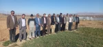 مراسم روز درختکاری در آموزشکده فنی و حرفه ای پسران گلپایگان برگزار شد. 12