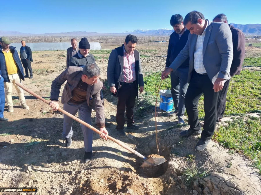 مراسم روز درختکاری در آموزشکده فنی و حرفه ای پسران گلپایگان برگزار شد. 14