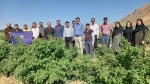 صبحانه کاری و نشست صمیمی رئیس با کارکنان آموزشکده 2