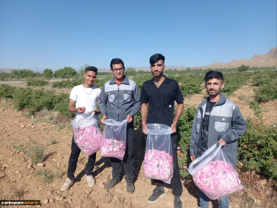 برگزاری جشنواره گل و گلاب همزمان با دومین ماه از فصل زیبای بهار؛ 4