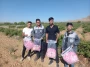 برگزاری جشنواره گل و گلاب همزمان با دومین ماه از فصل زیبای بهار؛