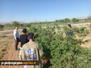 برگزاری جشنواره گل و گلاب همزمان با دومین ماه از فصل زیبای بهار؛ 6