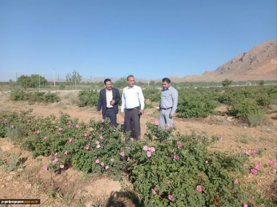 برگزاری جشنواره گل و گلاب همزمان با دومین ماه از فصل زیبای بهار؛ 9