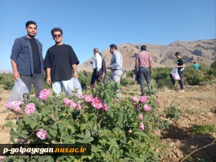 برگزاری جشنواره گل و گلاب همزمان با دومین ماه از فصل زیبای بهار؛ 10