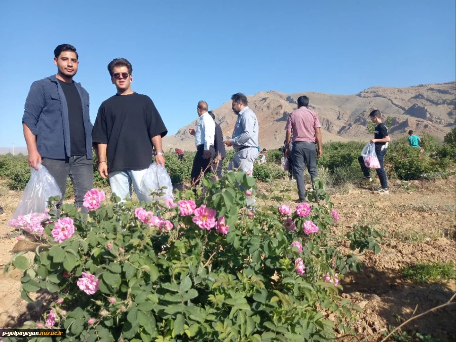 برگزاری جشنواره گل و گلاب همزمان با دومین ماه از فصل زیبای بهار؛ 10