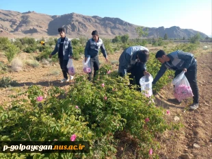 برگزاری جشنواره گل و گلاب همزمان با دومین ماه از فصل زیبای بهار؛ 13