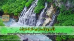 فایل ویدویی